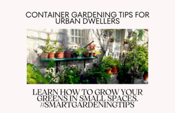 Learn how to grow your greens in small spaces.