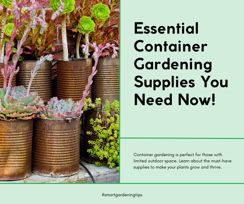 Container gardening is perfect for those with limited outdoor space. Learn about the must-have supplies to make your plants grow and thrive.