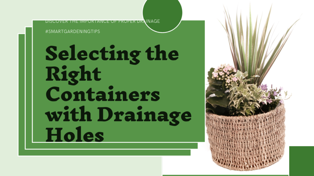 Discover the importance of proper drainage