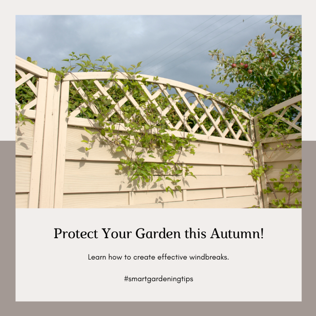 Learn how to create effective windbreaks to protect your garden from strong wind
