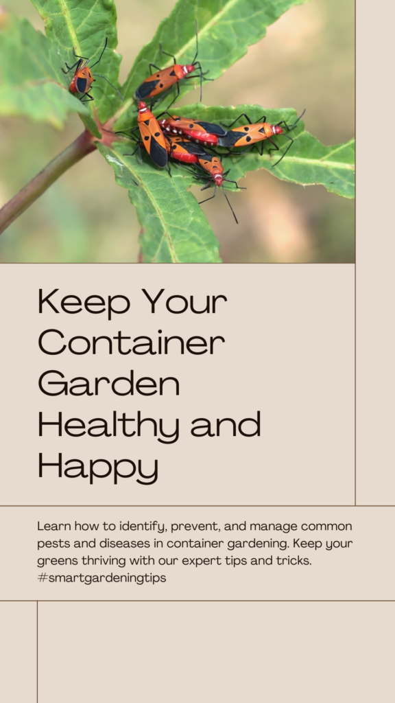 Learn how to identify, prevent, and manage common pests and diseases in container gardening. Keep your greens thriving with our expert tips and tricks.
