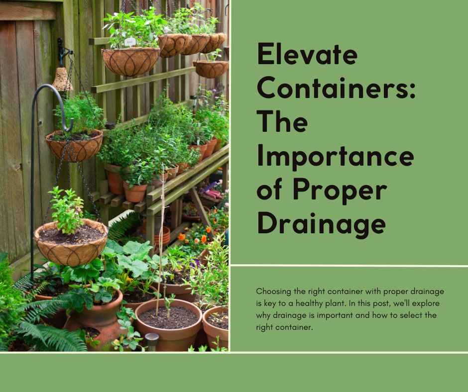 Choosing the right container with proper drainage is key to a healthy plant. In this post, we'll explore why drainage is important and how to select the right container.