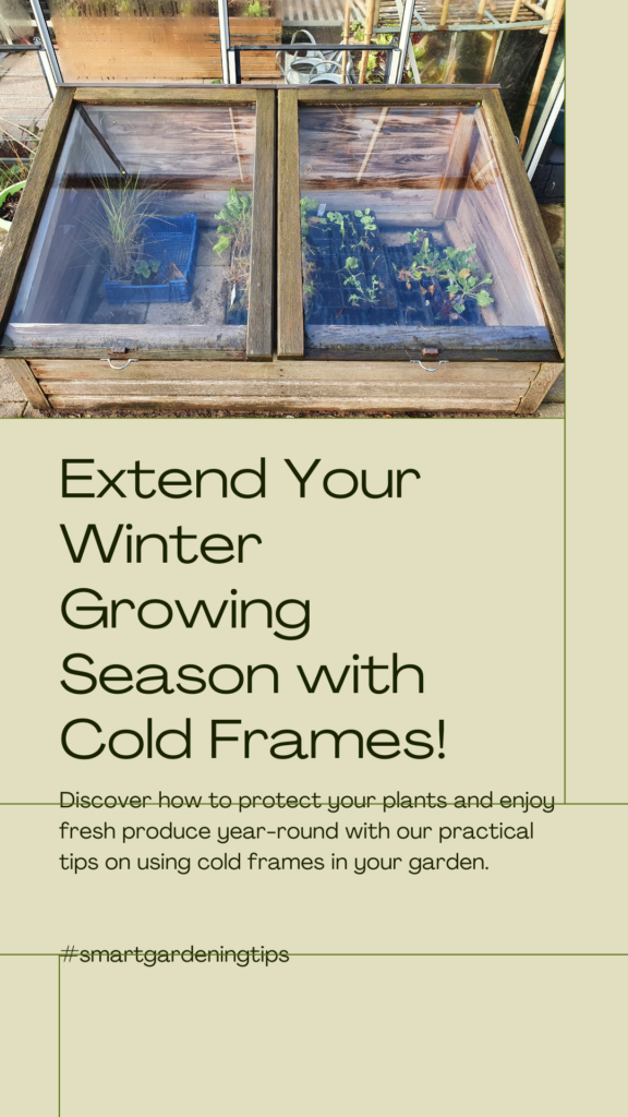 Discover how to protect your plants and enjoy fresh produce year-round with our practical tips on using cold frames in your garden.