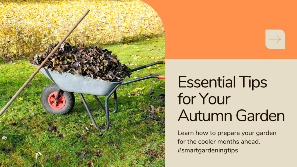 Learn how to prepare your garden for the cooler months ahead.
