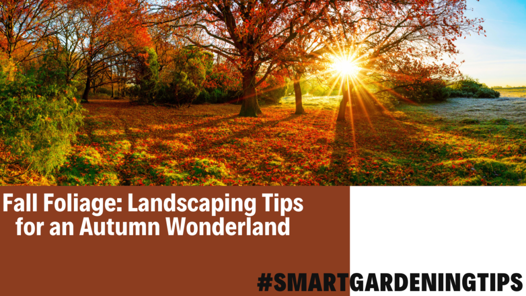 Fall Foliage: Landscaping Tips for an Autumn Wonderland