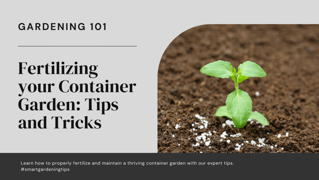 Learn how to properly fertilize and maintain a thriving container garden with our expert tips.
