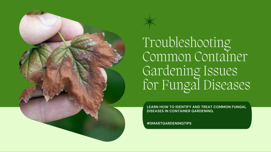 Learn how to identify and treat common fungal diseases in container gardening.
