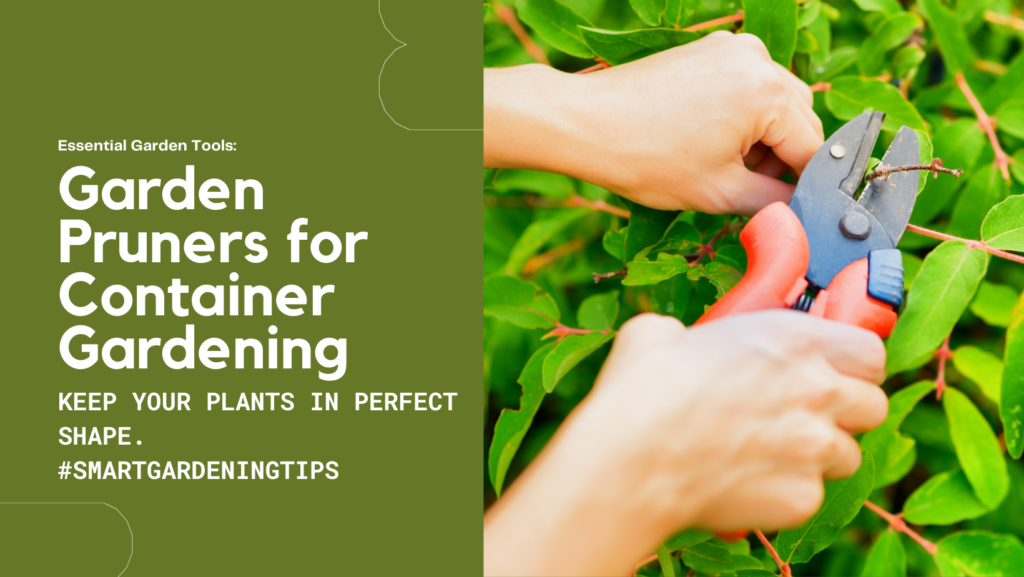 For larger plants or thicker branches, garden pruners are essential. These tools allow you to trim and shape your container plants with precision. Look for pruners with a bypass or anvil design, depending on the type of plants you'll be working with.