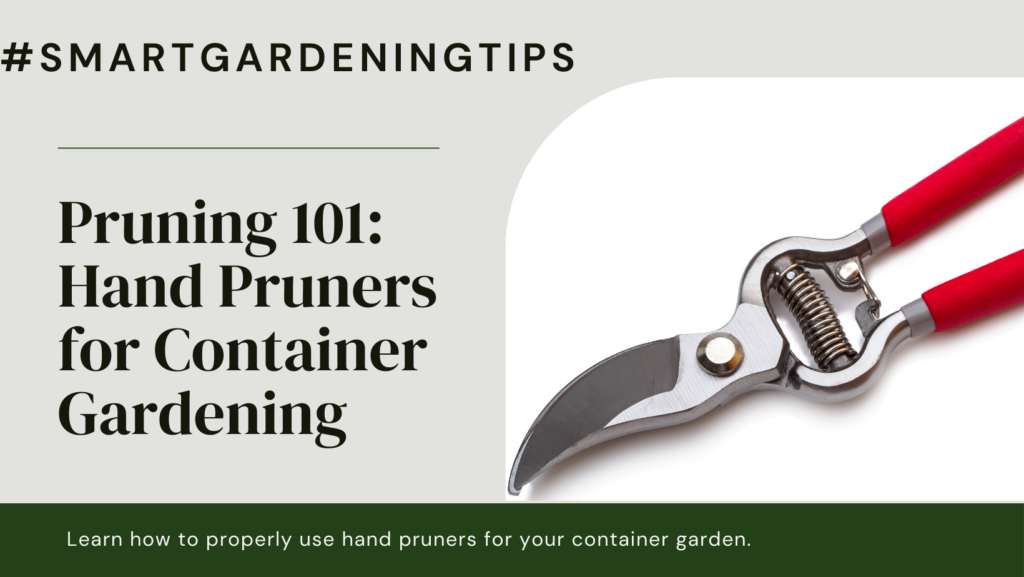 Learn how to properly use hand pruners for your container garden.