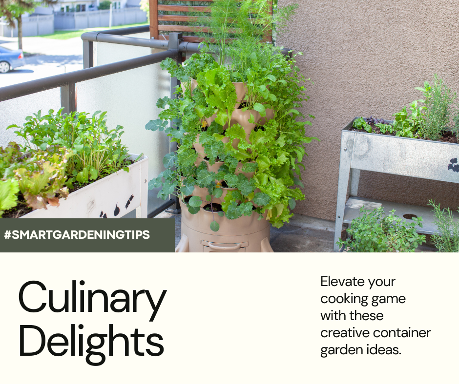 Elevate your cooking game with these creative container garden ideas.