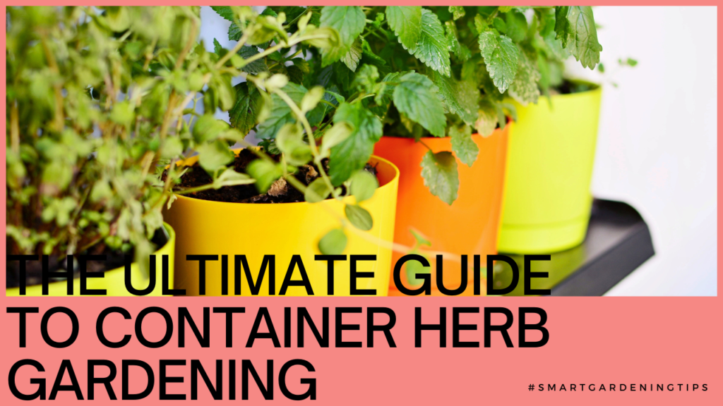 The Ultimate Guide to Container Herb Gardening