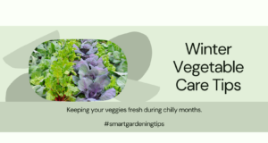Keeping your veggies fresh during chilly months.