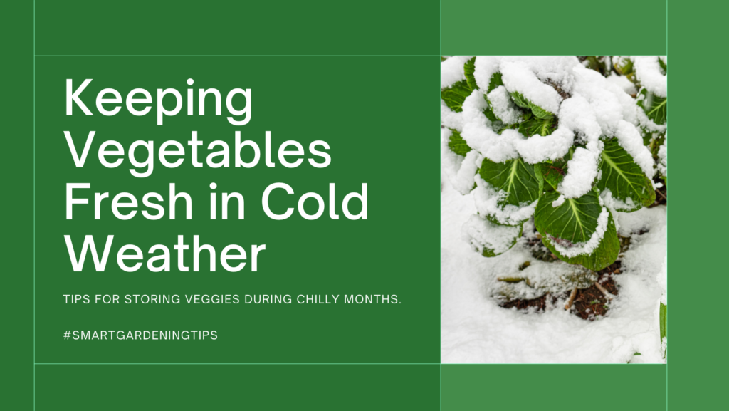Tips for storing veggies during chilly months.

