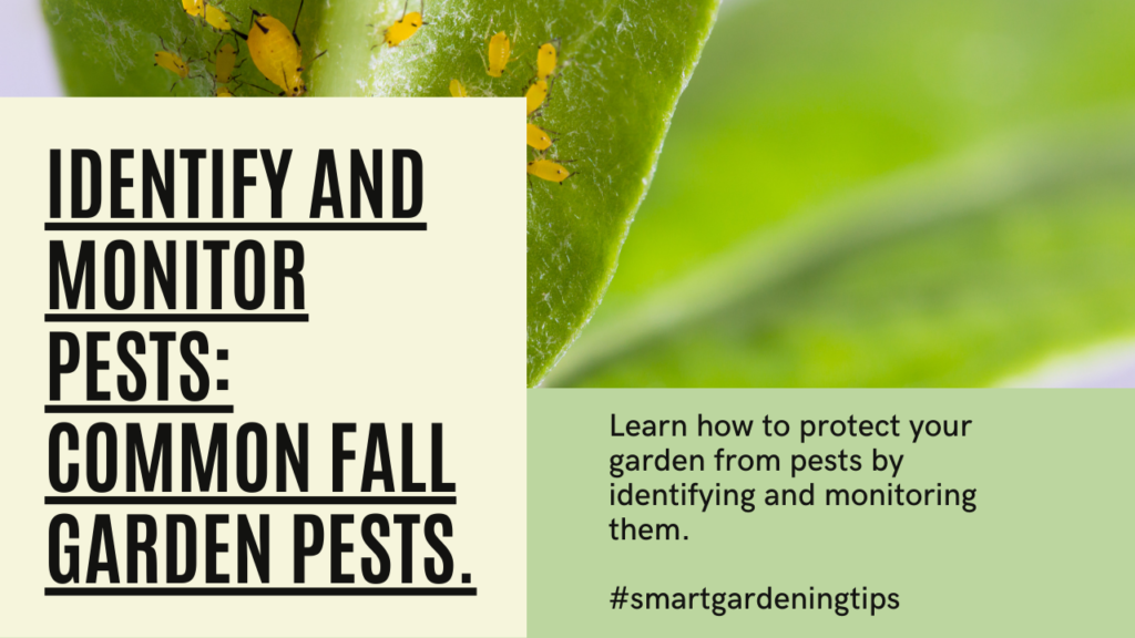 Learn how to protect your garden from pests by identifying and monitoring them.
