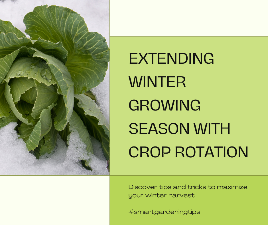 Discover tips and tricks to maximize your winter harvest.
