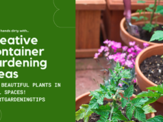 Grow beautiful plants in small spaces!