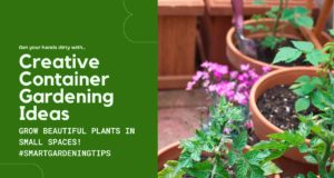 Grow beautiful plants in small spaces!