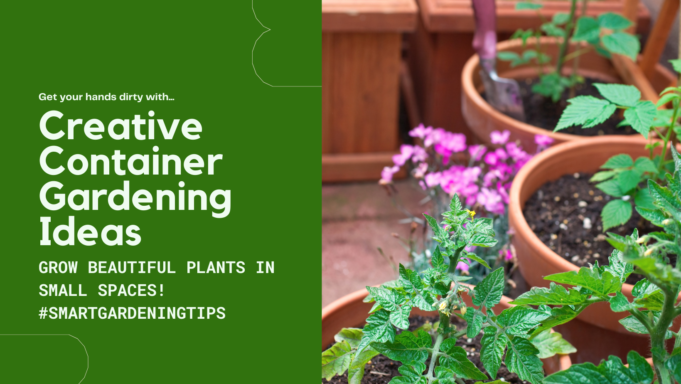 Grow beautiful plants in small spaces!