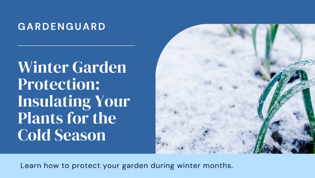 Learn how to protect your garden during winter months.