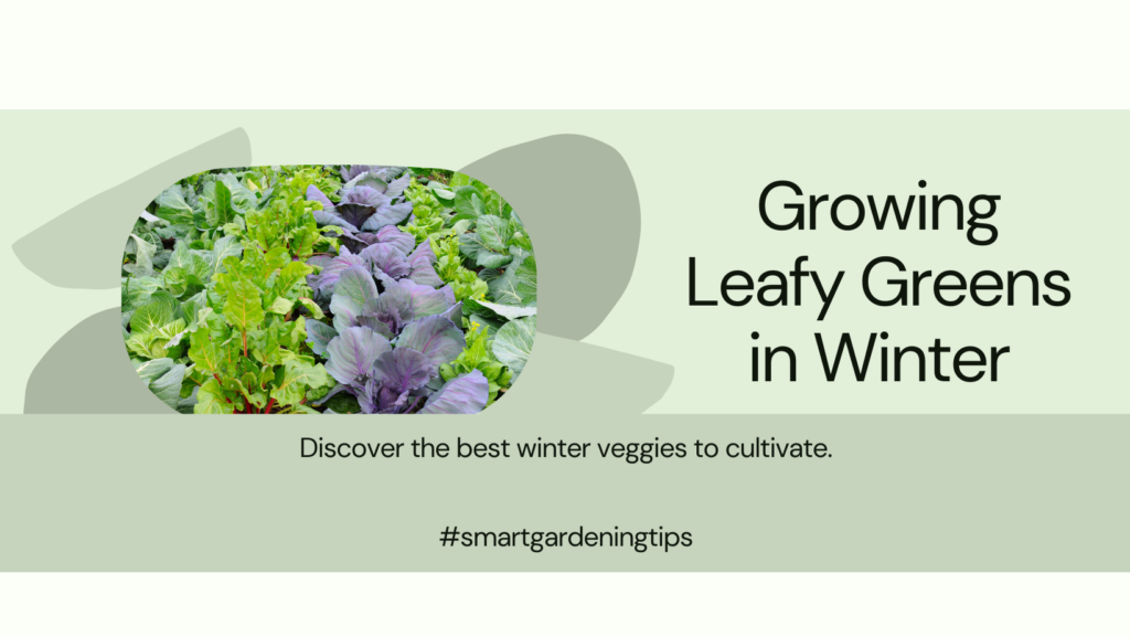 Discover the best winter veggies to cultivate.
