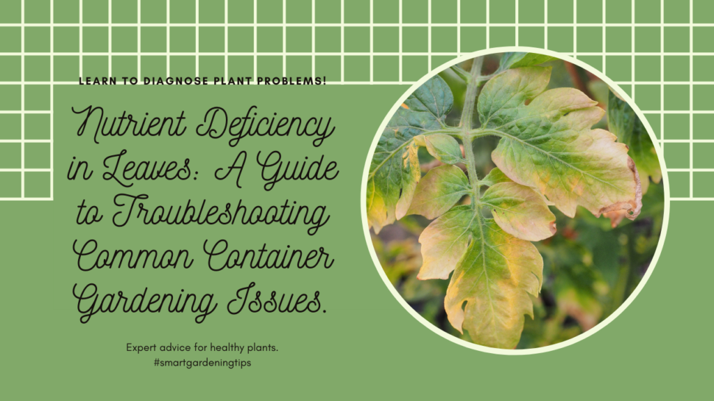 Learn to diagnose plant problem through their leaves