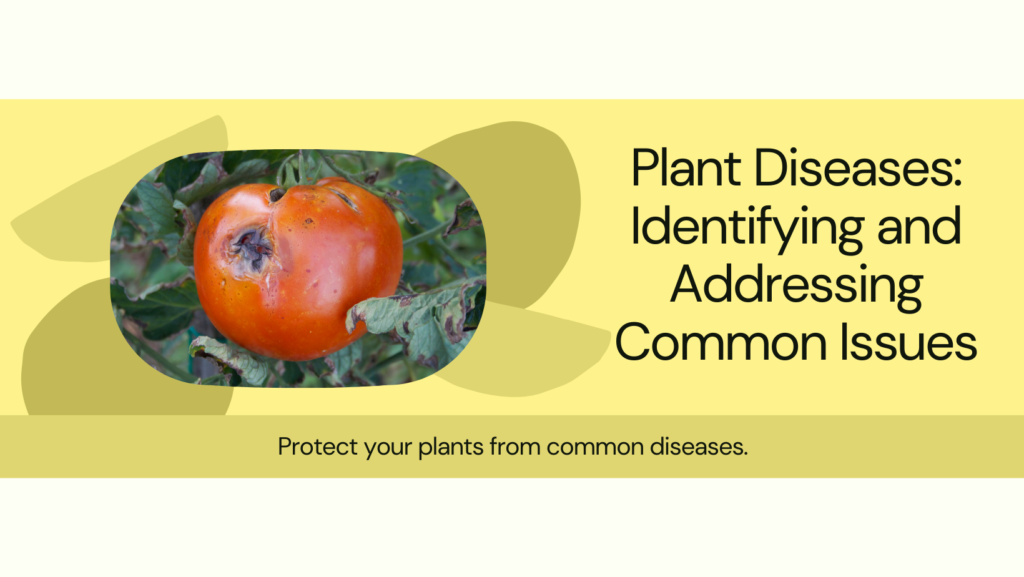 Protect your plants from common diseases.