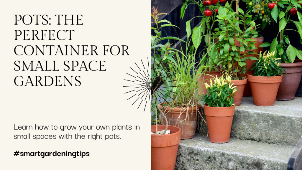 Learn how to grow your own plants in small spaces with the right pots.