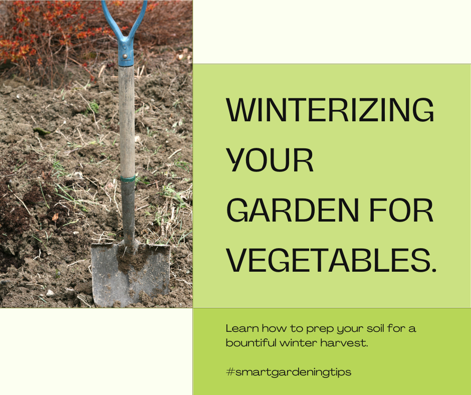 Learn how to prep your soil for a bountiful winter harvest.