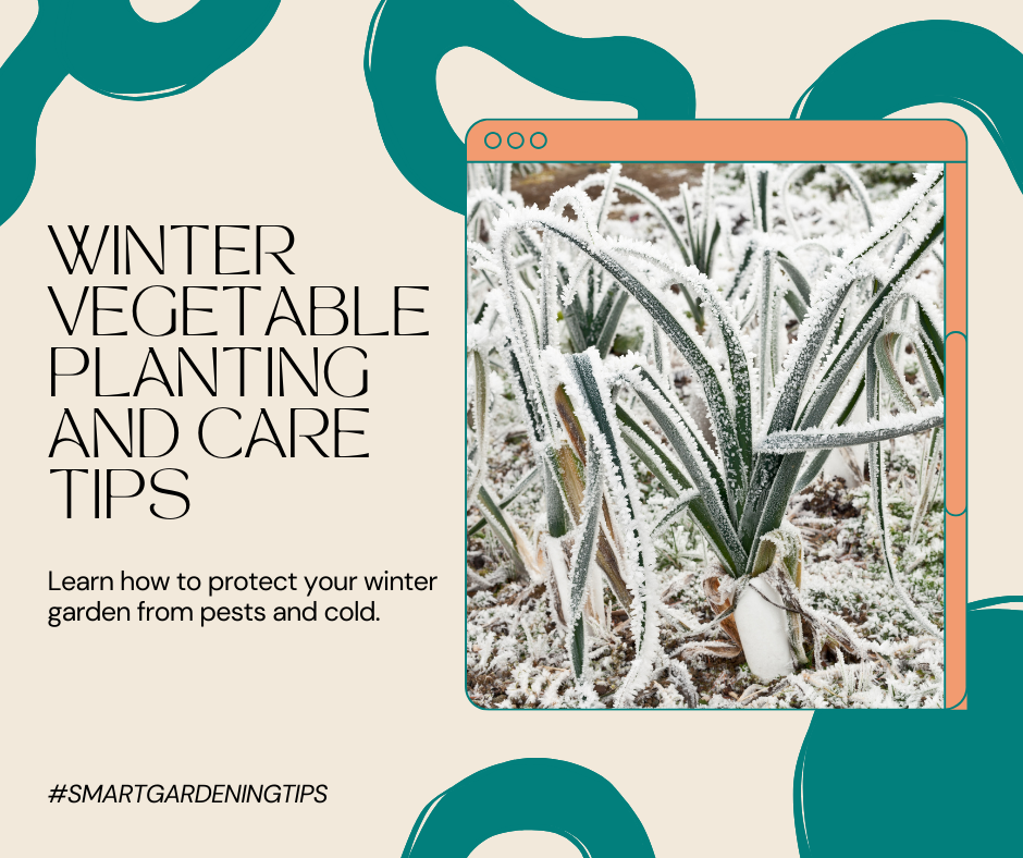 Learn how to protect your winter garden from pests and cold.