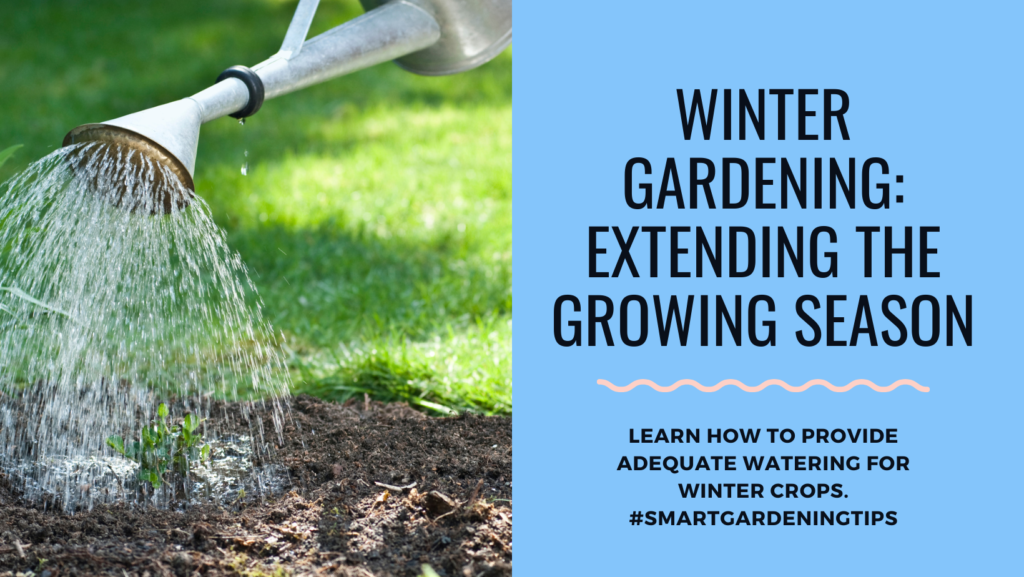 Learn how to provide adequate watering for winter crops.
