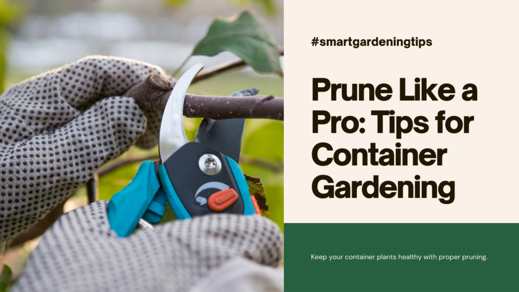 Keep your container plants healthy with proper pruning.