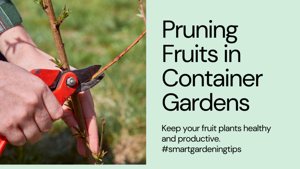 Keep your fruit plants healthy and productive.
