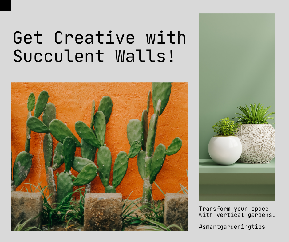 Get Creative with Succulent Walls!