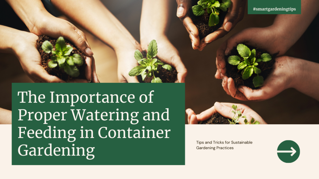 To truly maximize the beauty and productivity of your container garden, proper watering and feeding are essential. Different plants have varying water and nutrient requirements, so it's important to understand the specific needs of each plant in your containers.