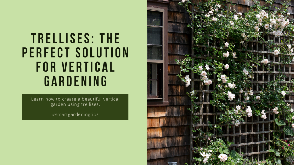 Learn how to create a beautiful vertical garden using trellises.
