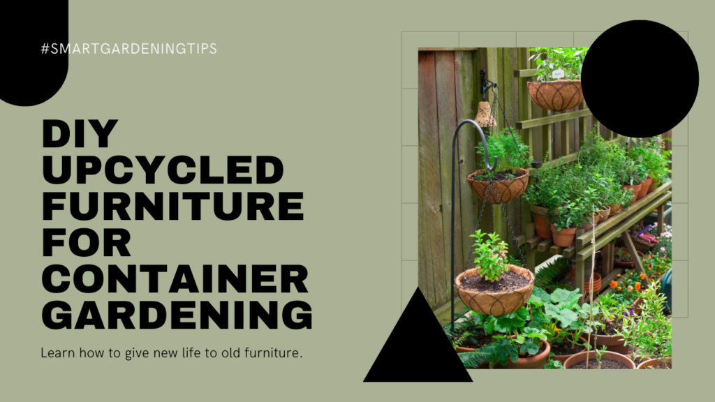 Learn how to give new life to old furniture by using it for your small space garden