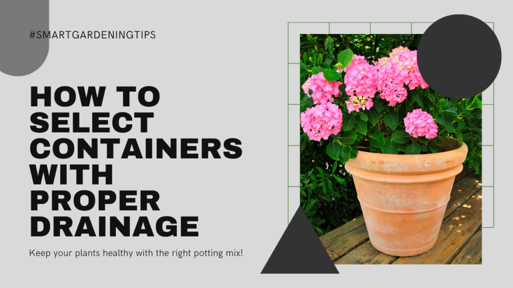 Keep your plants healthy with the right potting mix!