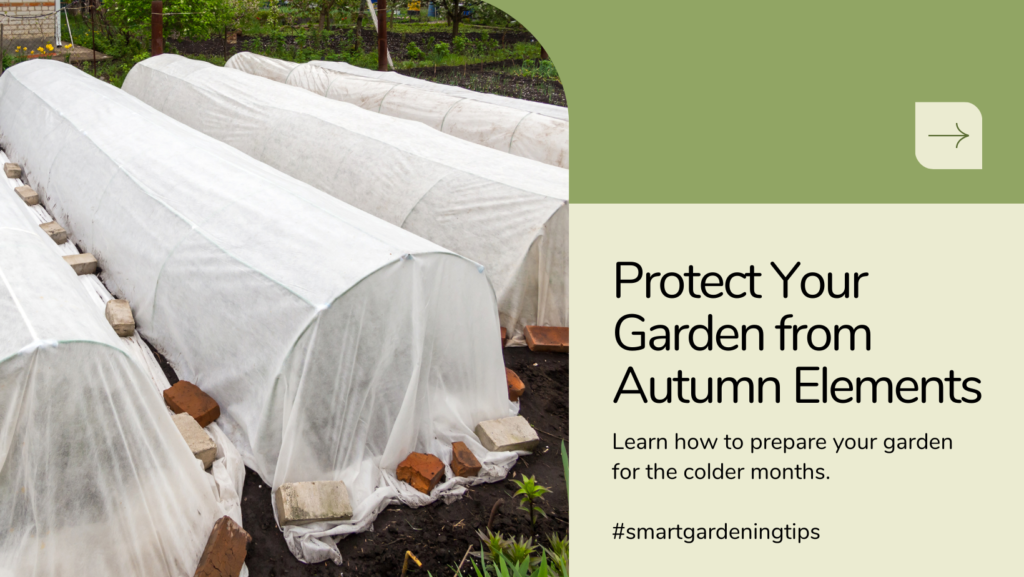 Learn how to prepare your garden for the colder months.
