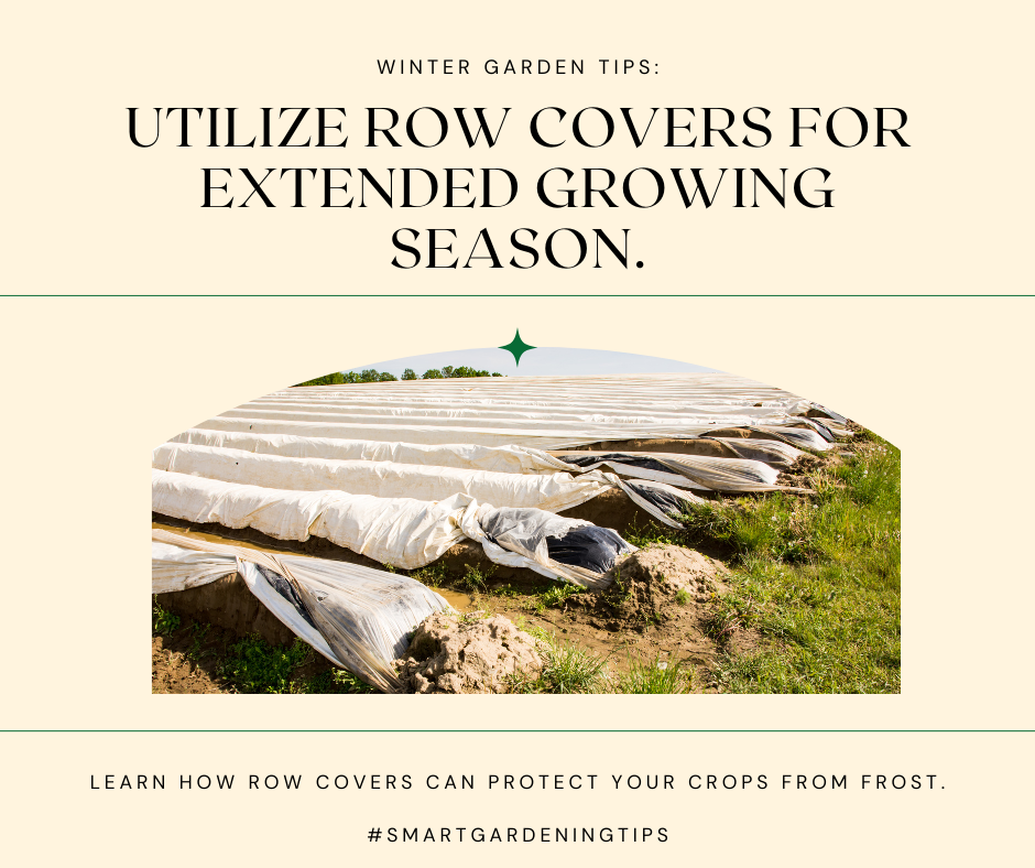 Learn how row covers can protect your crops from frost.
