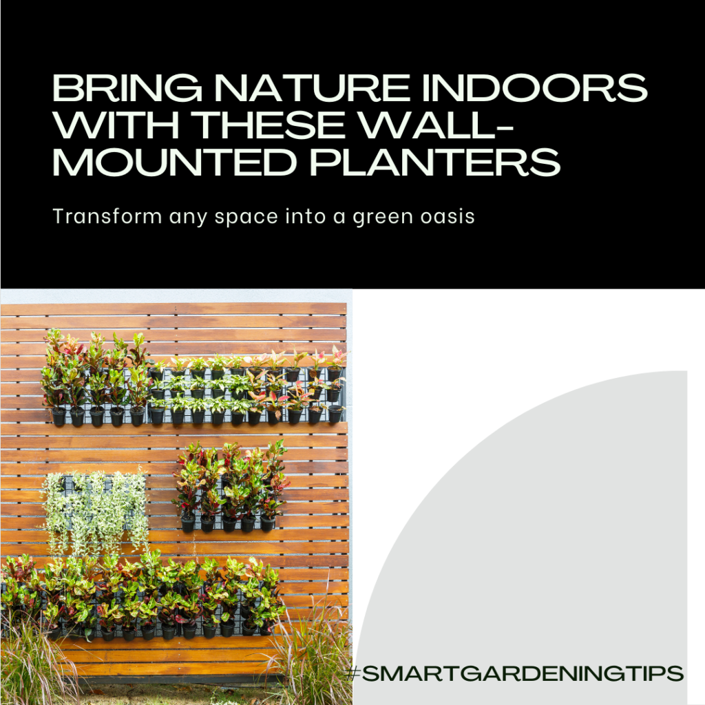 Bring nature indoors with these wall-mounted planters