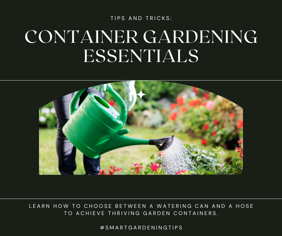 Learn how to choose between a watering can and a hose to achieve thriving garden containers.
