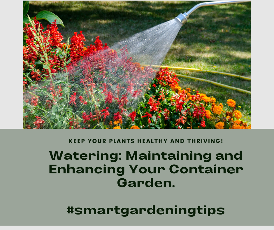 Keep your plants healthy and thriving with these watering tips.