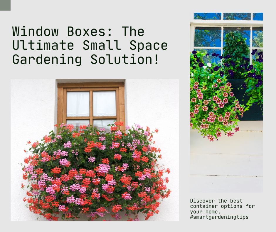 Window Boxes: The Ultimate Small Space Gardening Solution!